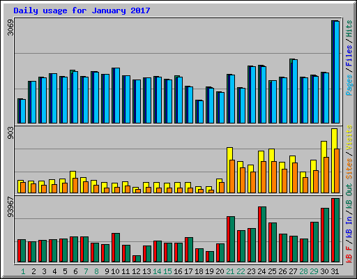 Daily usage for January 2017