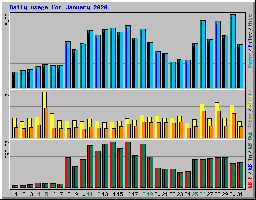 Daily usage for January 2020