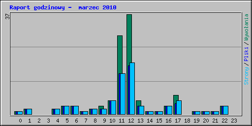 Raport godzinowy -  marzec 2010