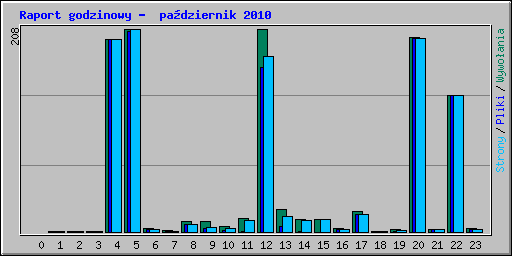 Raport godzinowy -  pa�dziernik 2010