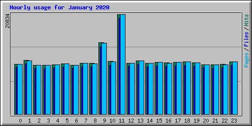 Hourly usage for January 2020