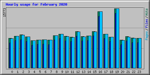 Hourly usage for February 2020